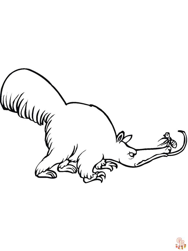 Anteater Coloring Pages 1