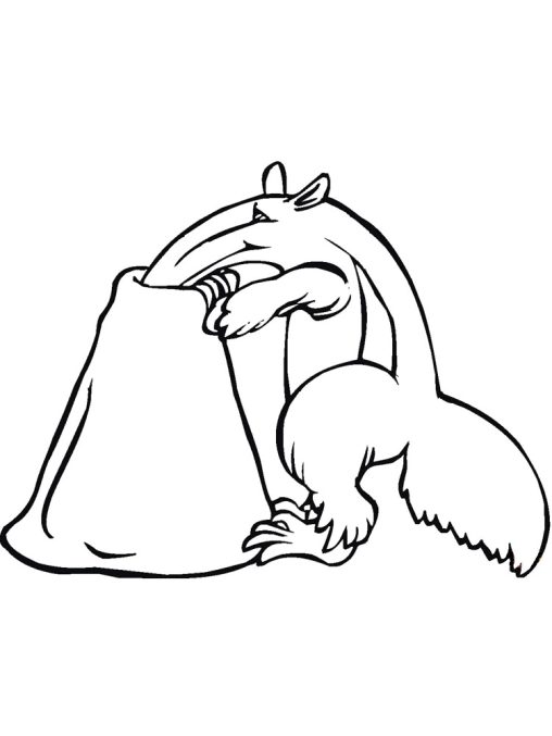 Anteater Coloring Pages - Printable & Free for Kids