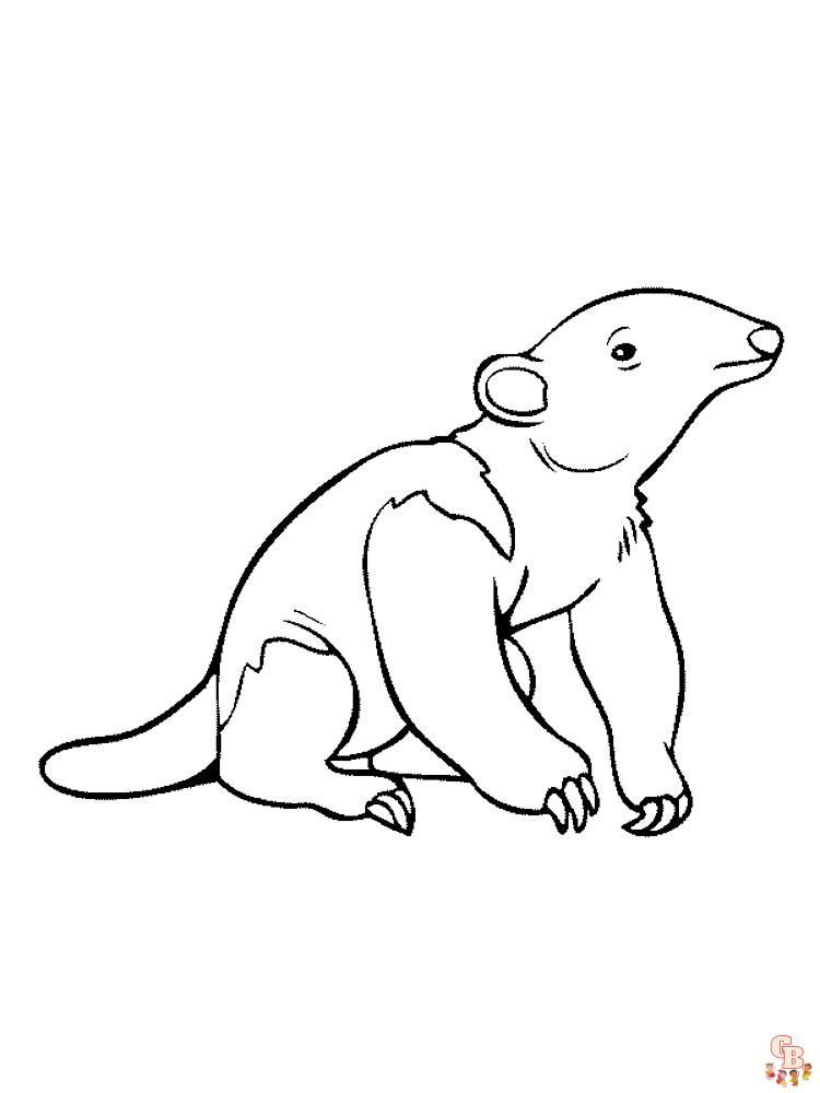 Anteater Coloring Pages 12