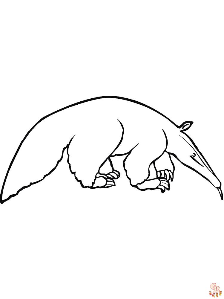 Anteater Coloring Pages 13