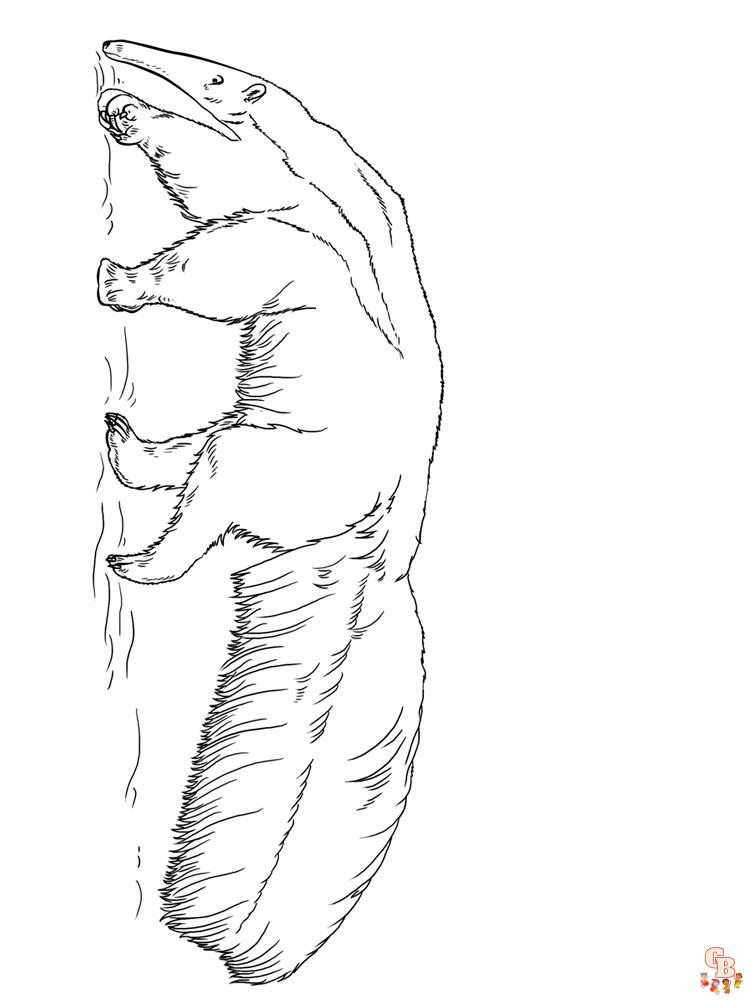 Anteater Coloring Pages 15