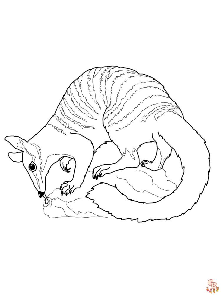 Anteater Coloring Pages 16