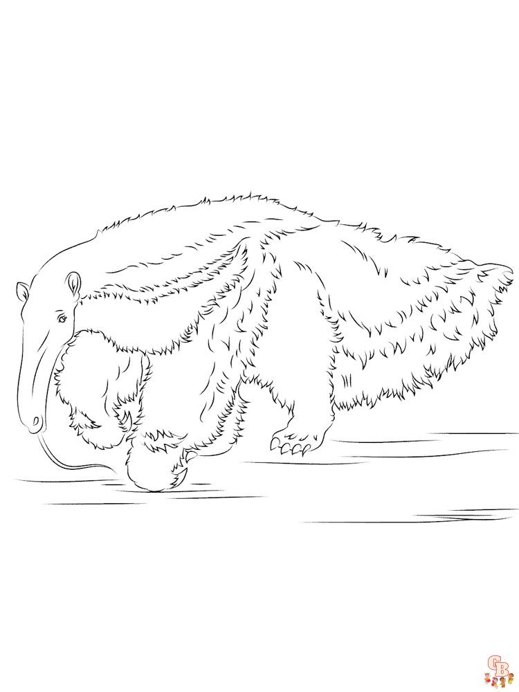 Anteater Coloring Pages 2