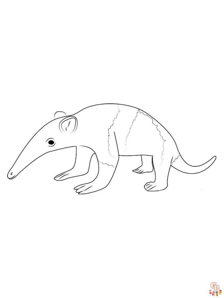 Anteater Coloring Pages 3
