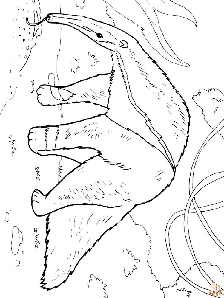 Anteater Coloring Pages 4