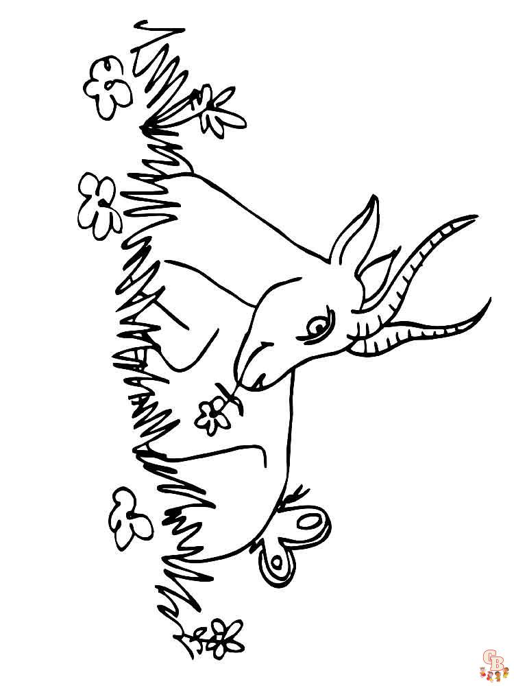 Antelope Coloring Pages 1