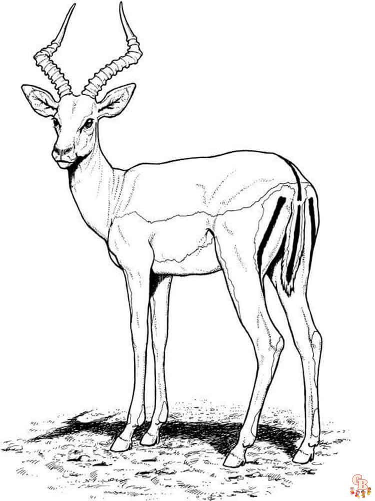 Antelope Coloring Pages 11