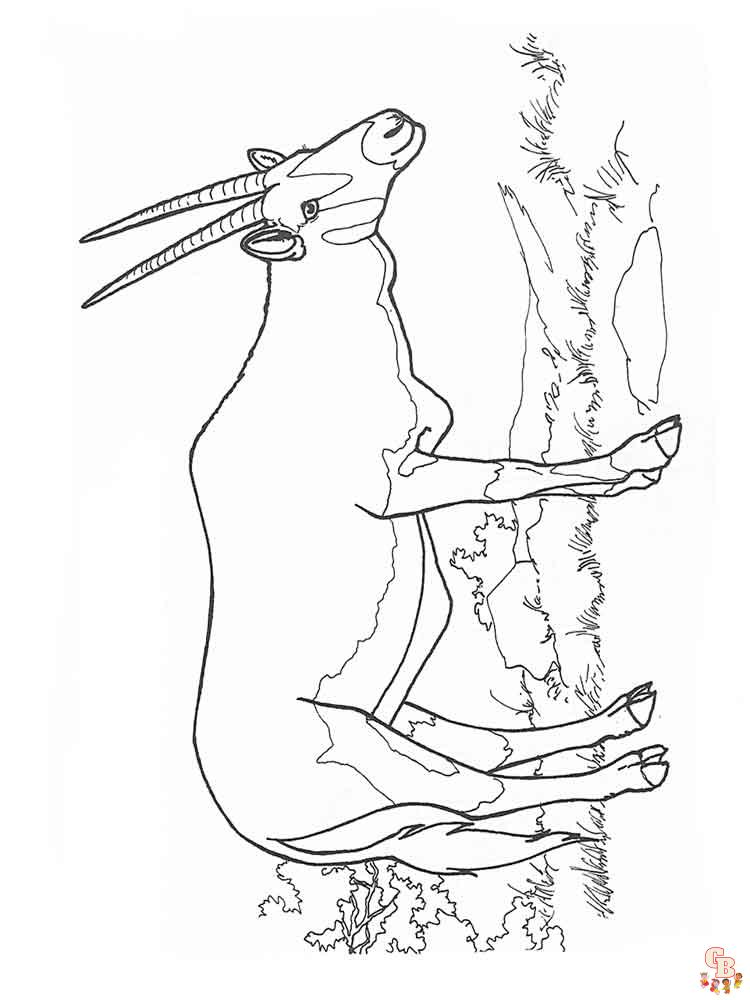 Antelope Coloring Pages 12
