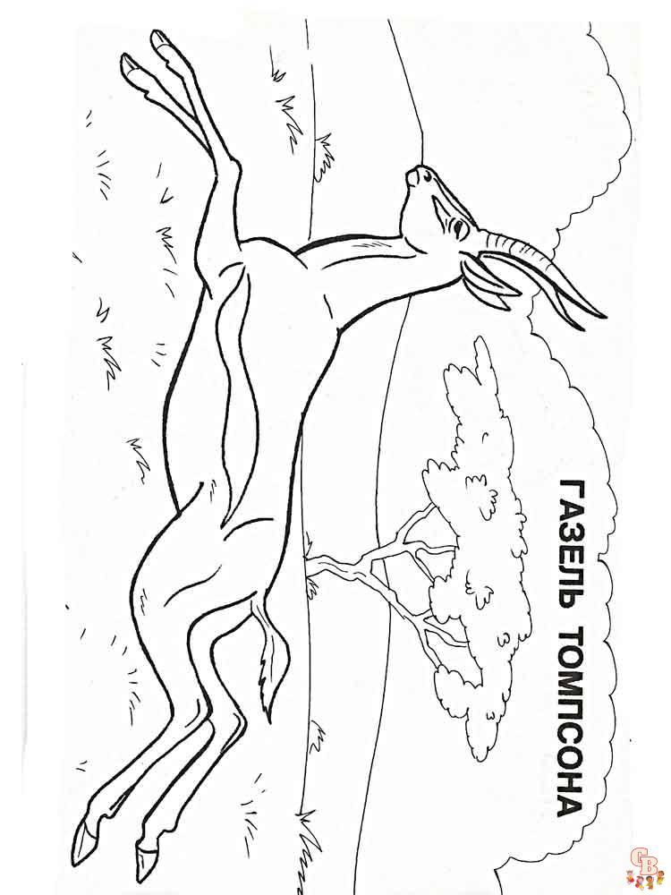 Antelope Coloring Pages 13