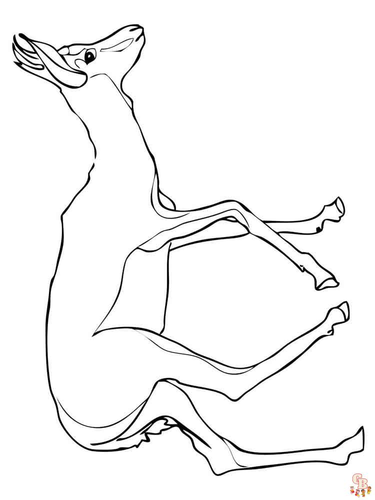 Antelope Coloring Pages 2