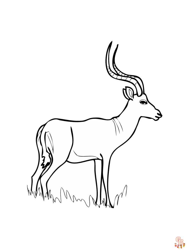 Antelope Coloring Pages 25