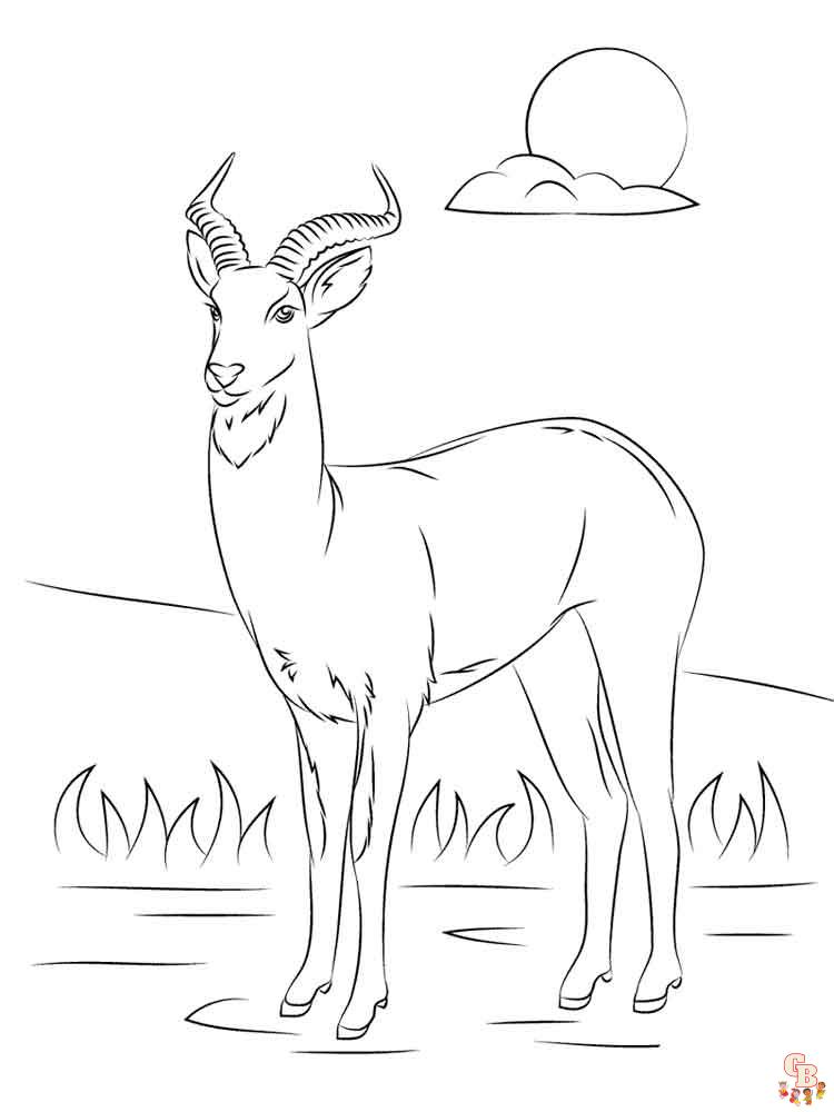 Antelope Coloring Pages 3
