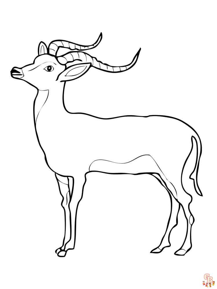 Antelope Coloring Pages 4