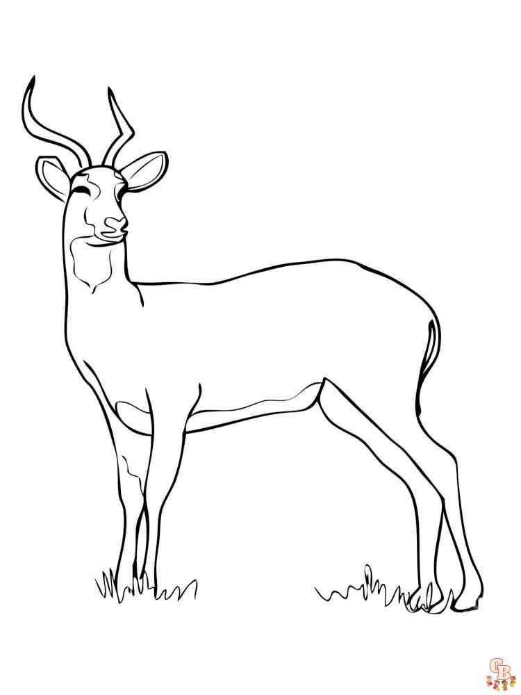 Antelope Coloring Pages 7