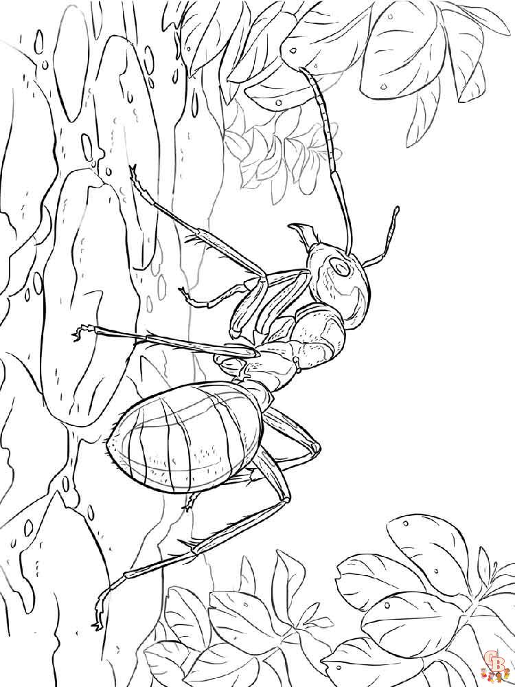 Ants Coloring Pages 18