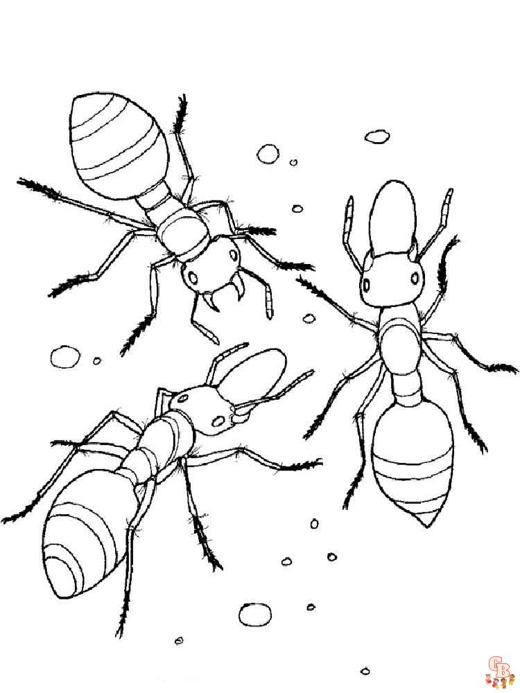 Ants Coloring Pages 19
