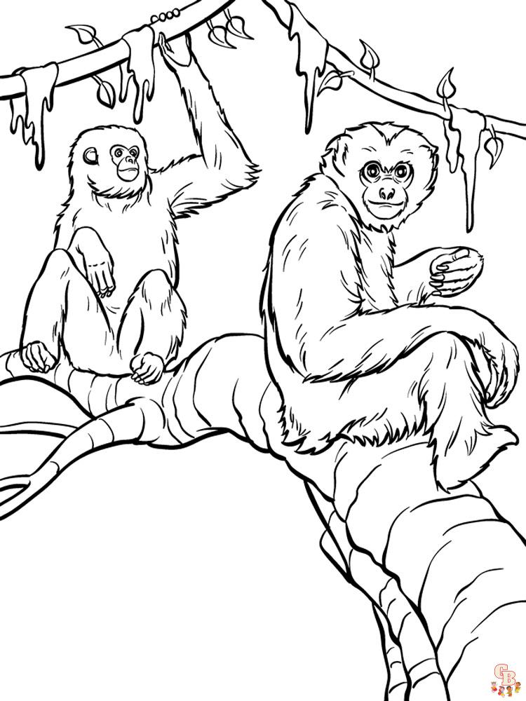 Apes Coloring Pages 14