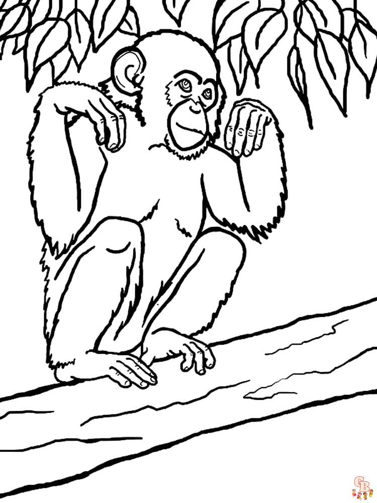 Apes Coloring Pages 33