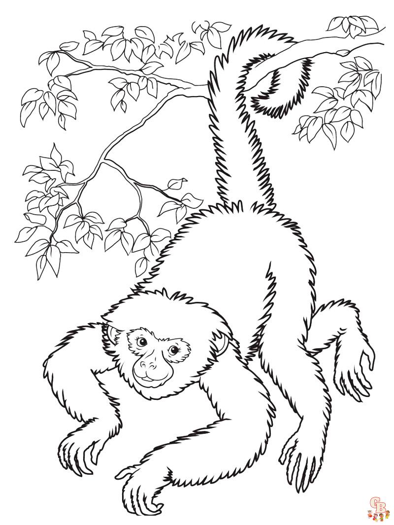 Apes Coloring Pages 43