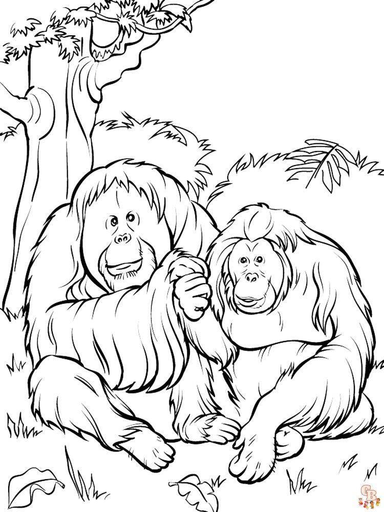 Apes Coloring Pages 48