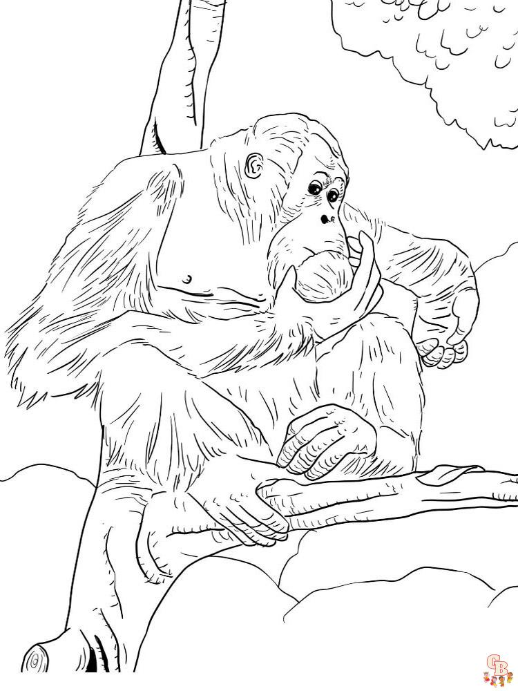 Apes Coloring Pages 50