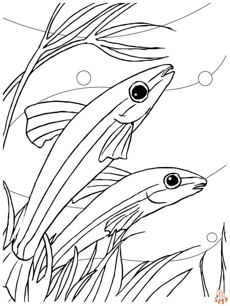 Aquarium Fish Coloring Pages 10