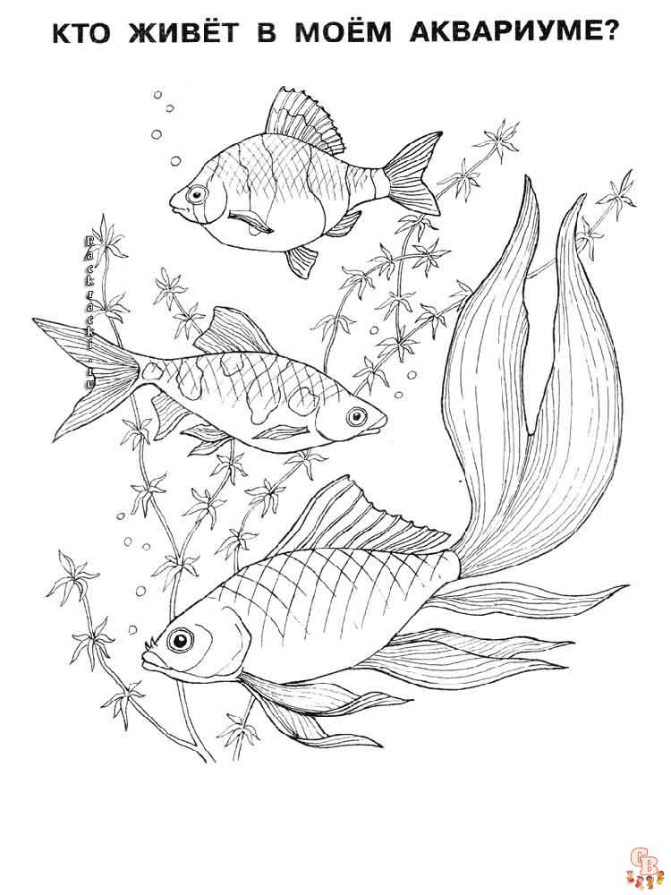 Aquarium Fish Coloring Pages 2