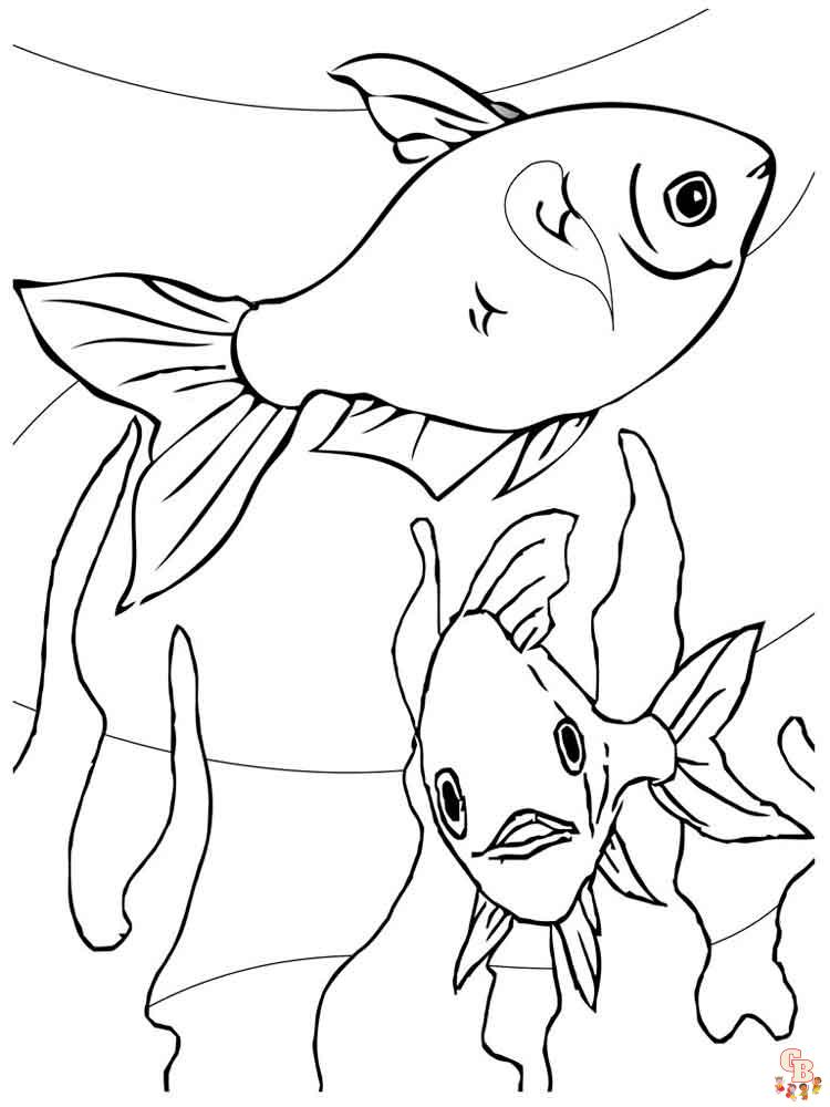 Aquarium Fish Coloring Pages 5