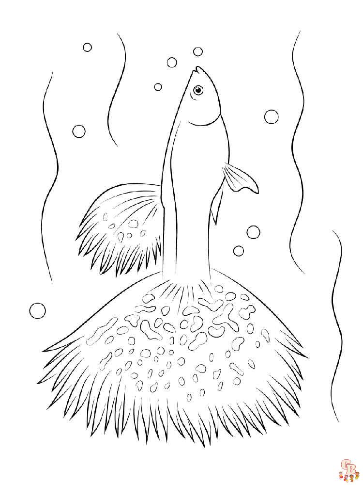 Aquarium Fish Coloring Pages 6