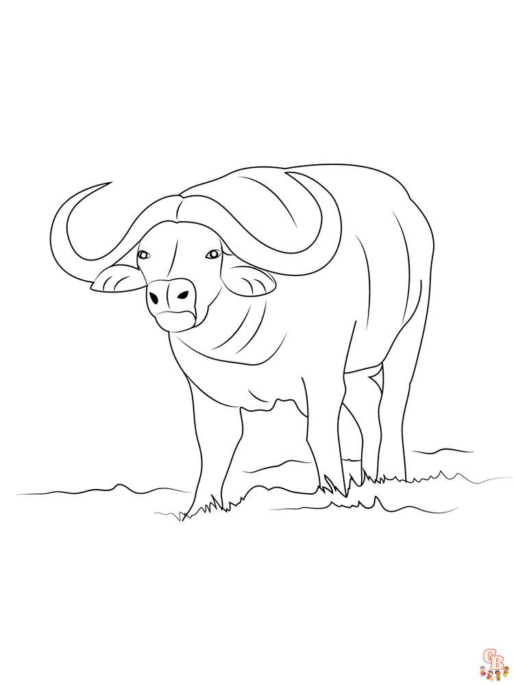 Buffalo Coloring Pages 1