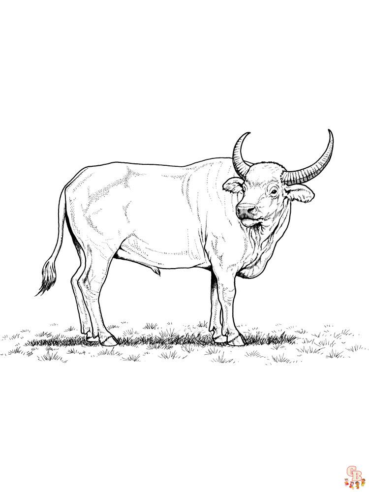 Buffalo Coloring Pages 12