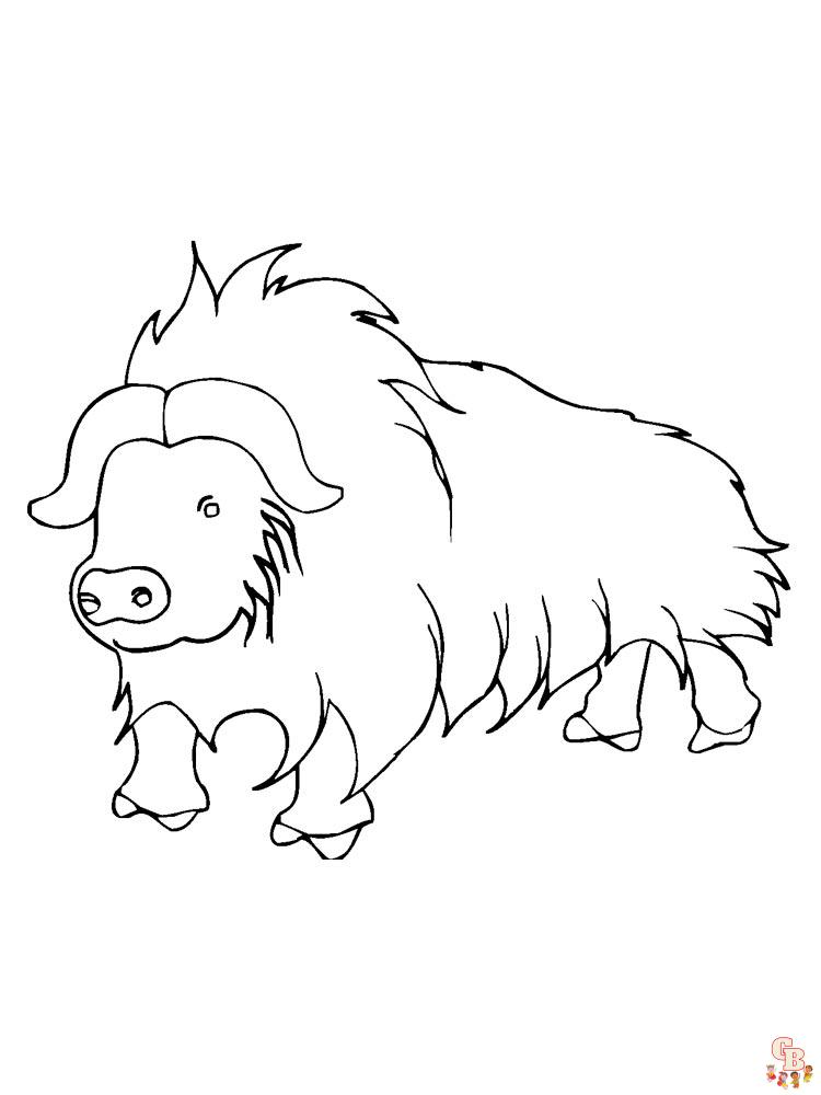 Buffalo Coloring Pages 13