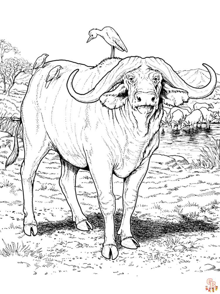 Buffalo Coloring Pages 14