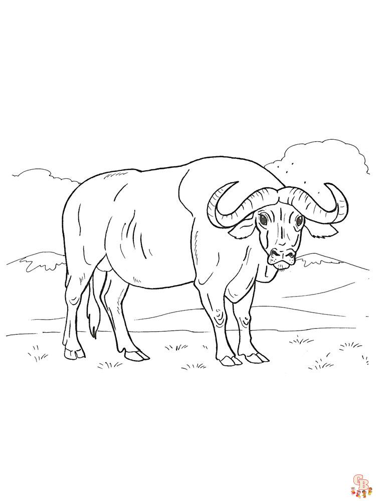 Buffalo Coloring Pages 15