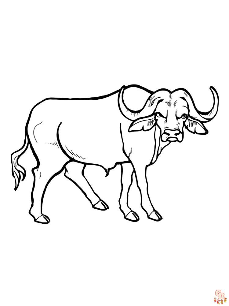 Buffalo Coloring Pages 16