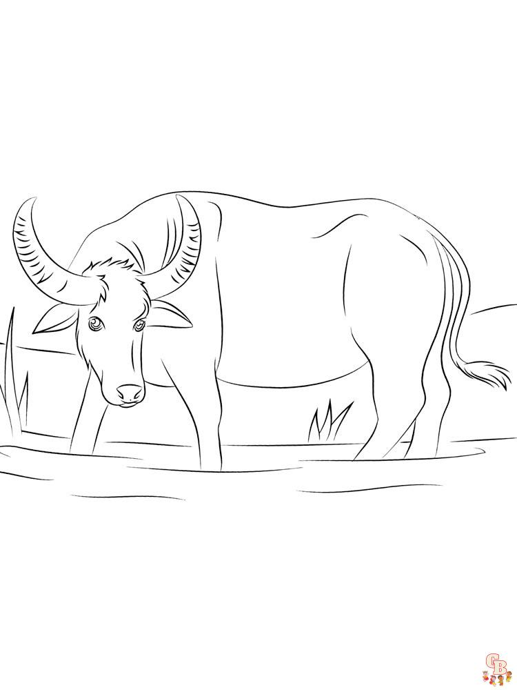 Buffalo Coloring Pages 17