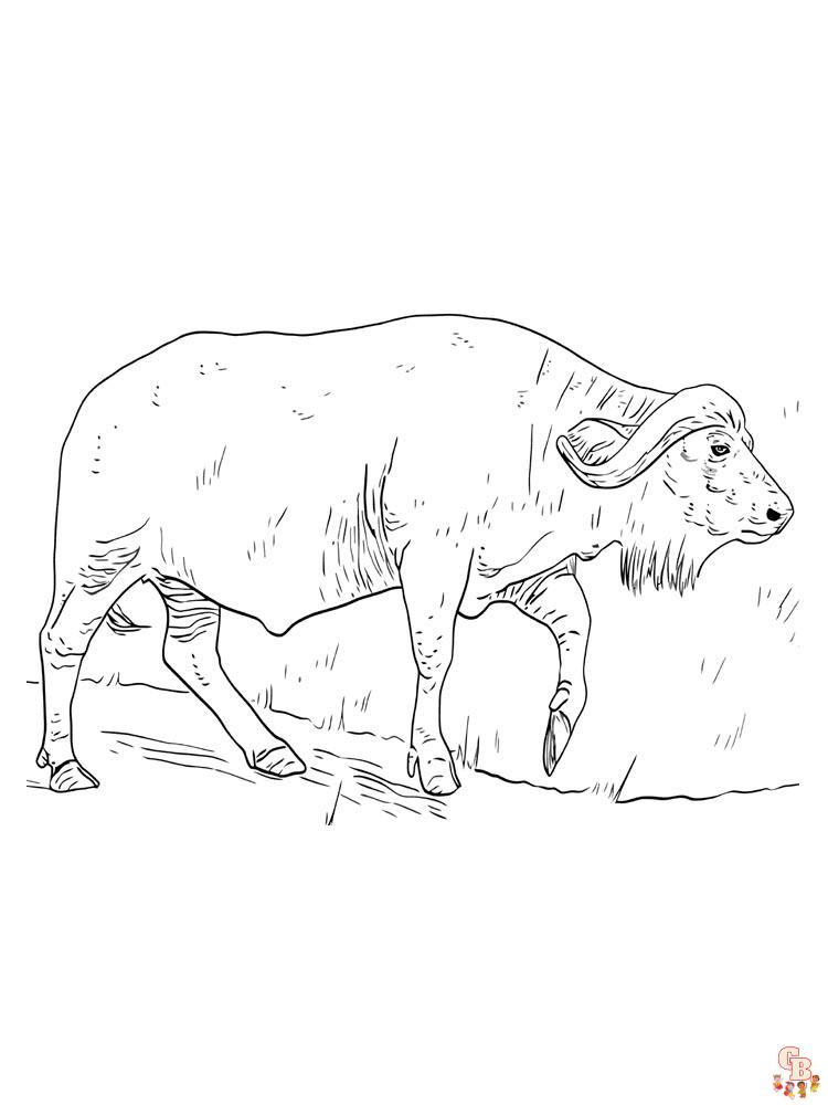 Buffalo Coloring Pages 19