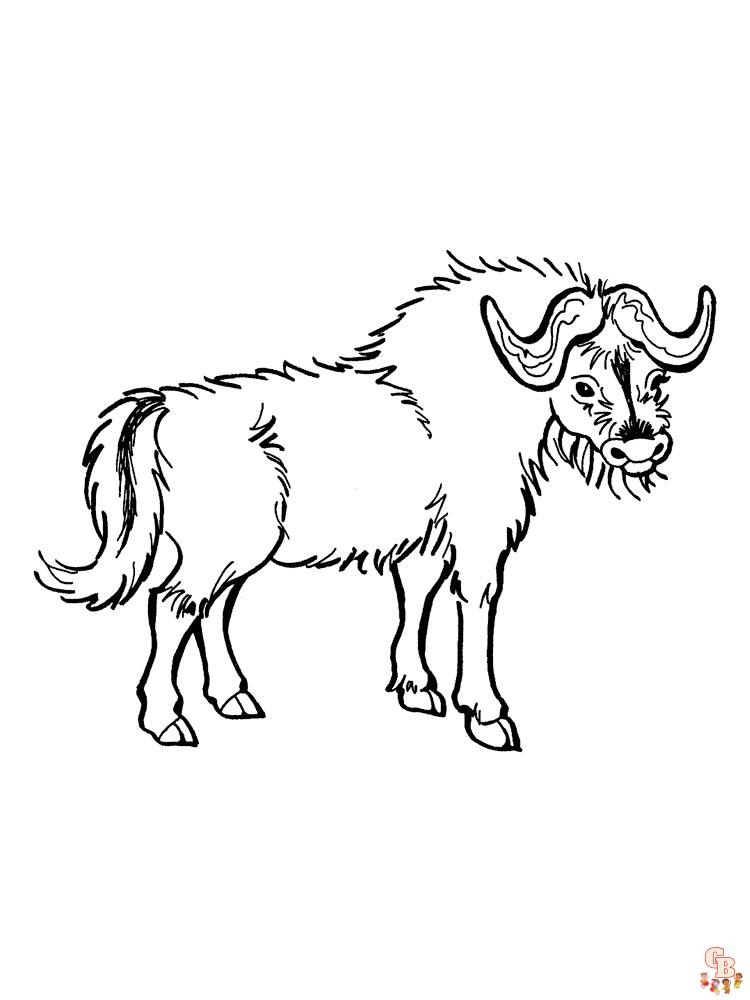 Buffalo Coloring Pages 20