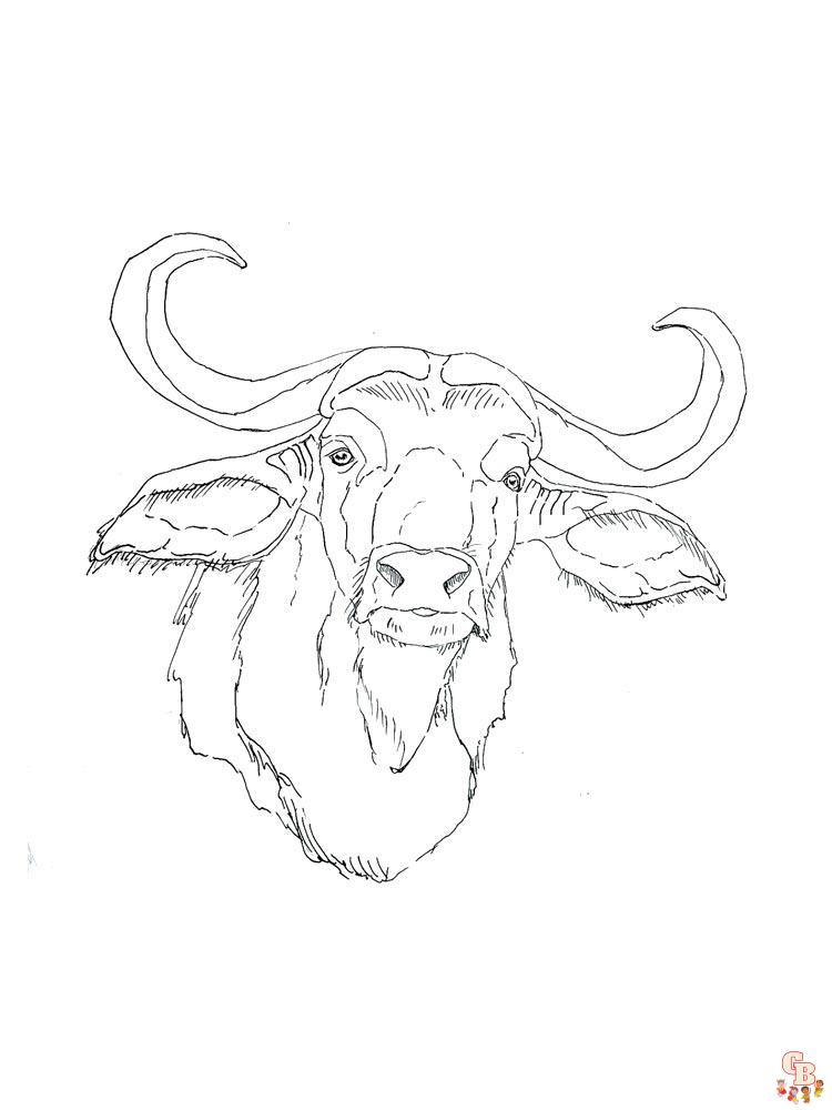 Buffalo Coloring Pages 3