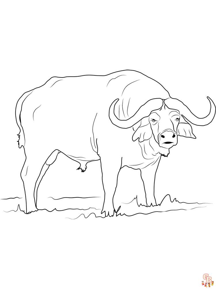 Buffalo Coloring Pages 4