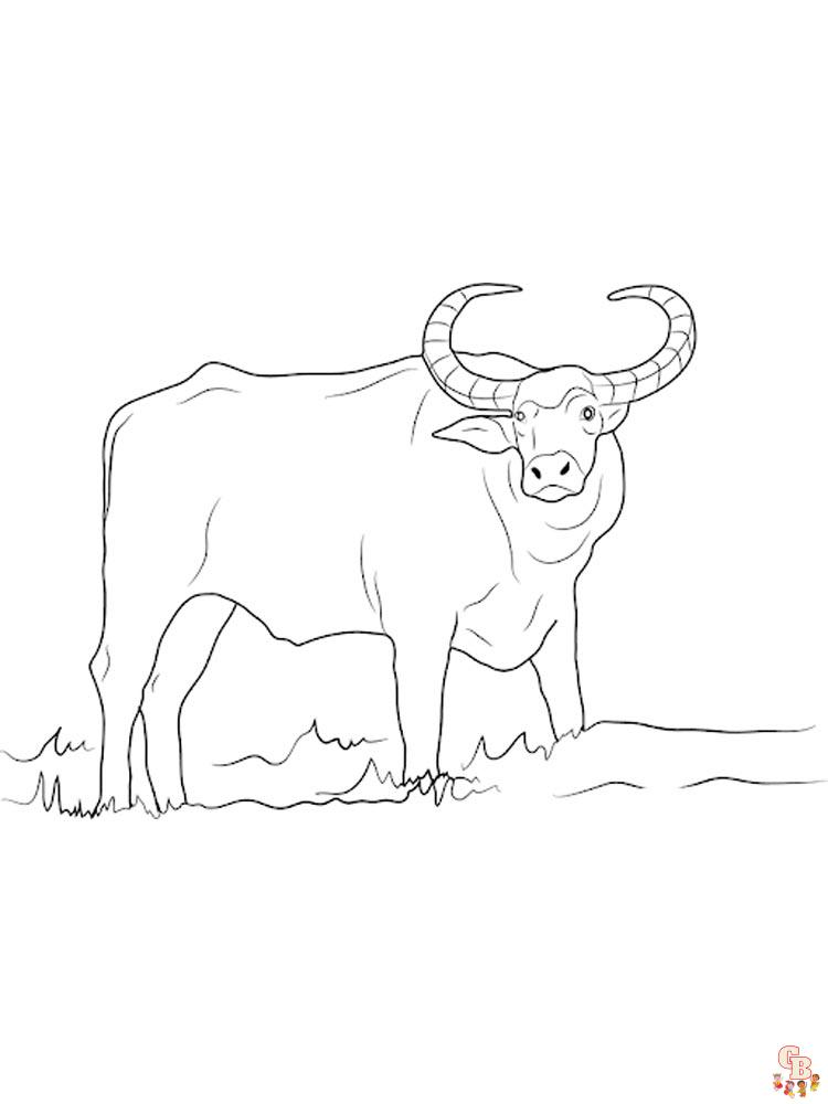 Buffalo Coloring Pages 5
