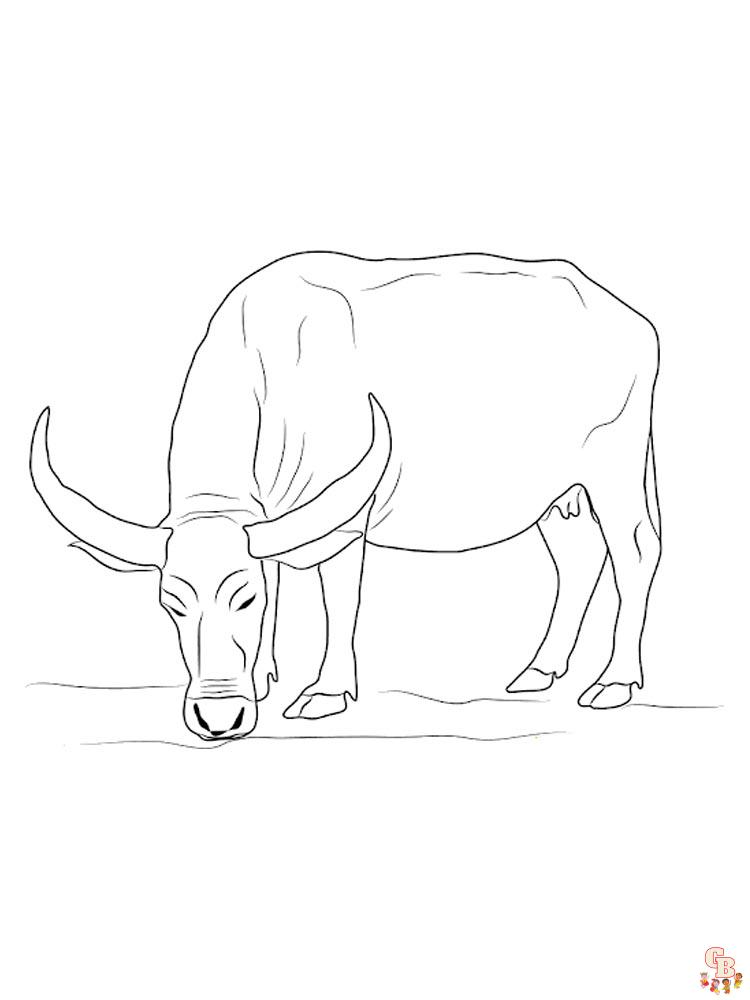 Buffalo Coloring Pages 6