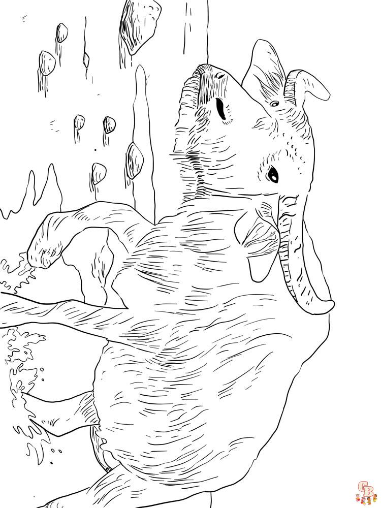 Buffalo Coloring Pages 7