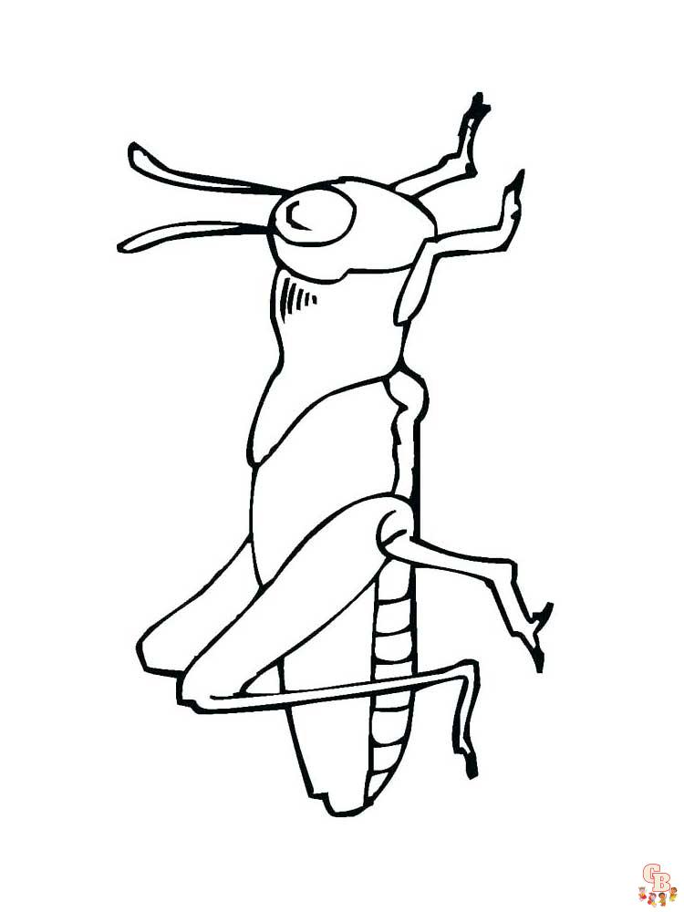 Insect Coloring Pages 12