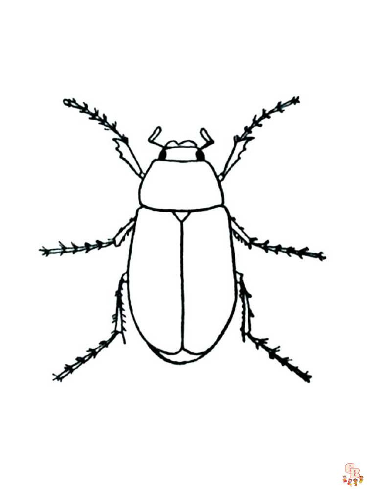 Insect Coloring Pages 14