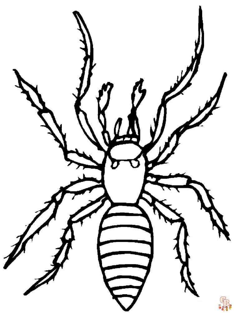 Insect Coloring Pages 19