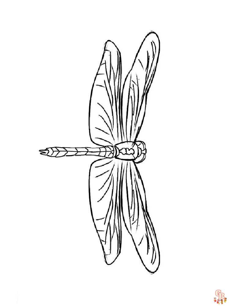 Insect Coloring Pages 23