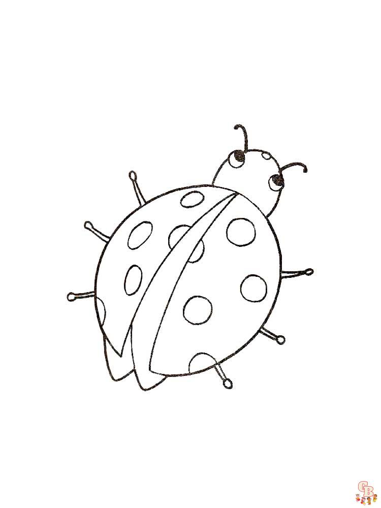 Insect Coloring Pages 25