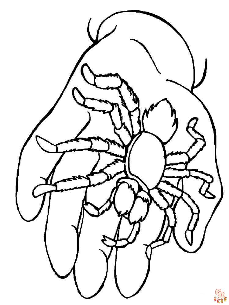 Insect Coloring Pages 28
