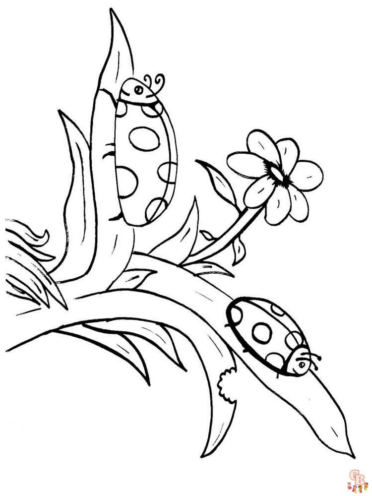 Insect Coloring Pages 32